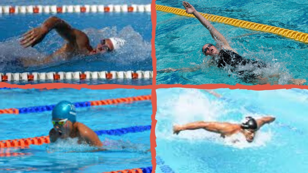 Tipos de nados en NATACIÓN 🏊 YouTube Tipos de nados en NATACIÓN 🏊 YouTube