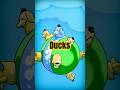Where can I get this cutie? - Pokémon Planet #pokemon #duck #cute