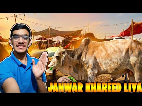 Finally janwar khareed liya 😍 | bohat mushkil sa soda bana☹️| mandi vlog