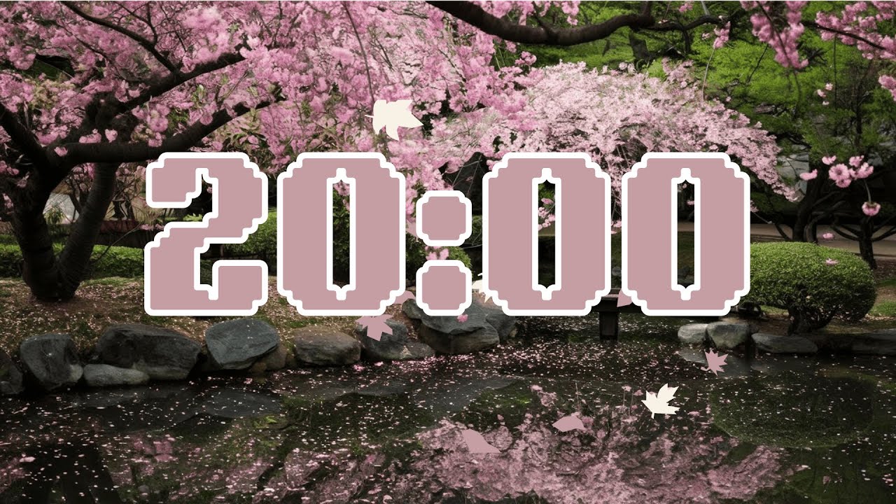 20 Minute Timer ⏳ [Clean Design + Alarm Sound] | Perfect for Workouts, Study, & Productivity