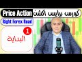 كورس برايس أكشن من الصفر الدرس 1 البداية     