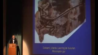 Celal Şengör- Sürüngen, Kuş Evrimi Ve Microraptor Guinin Keşfi
