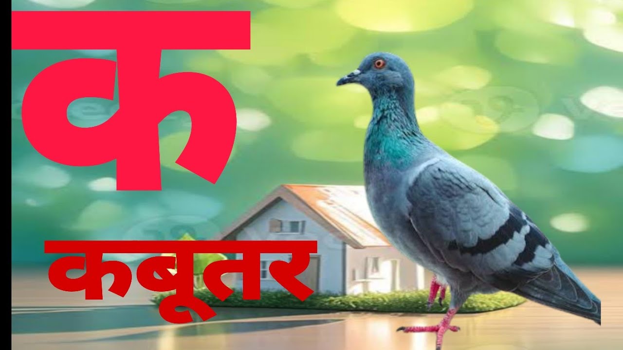 क से कबूतर , अ से अनार , abcd  l ka se kabutar aa se anar l हिंदी वर्णमाला l for kids 