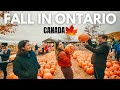 This Farm Was NOT What I Expected| FALL In ONTARIO CANADA 🍁