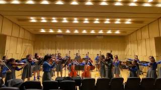 Famous Schubert/Mahler  String Quartet "Death and the Maiden", 4th movement, DGS String Orchestra Net Worth