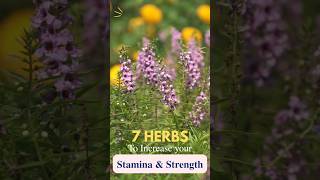 How To Increase St And Strength?