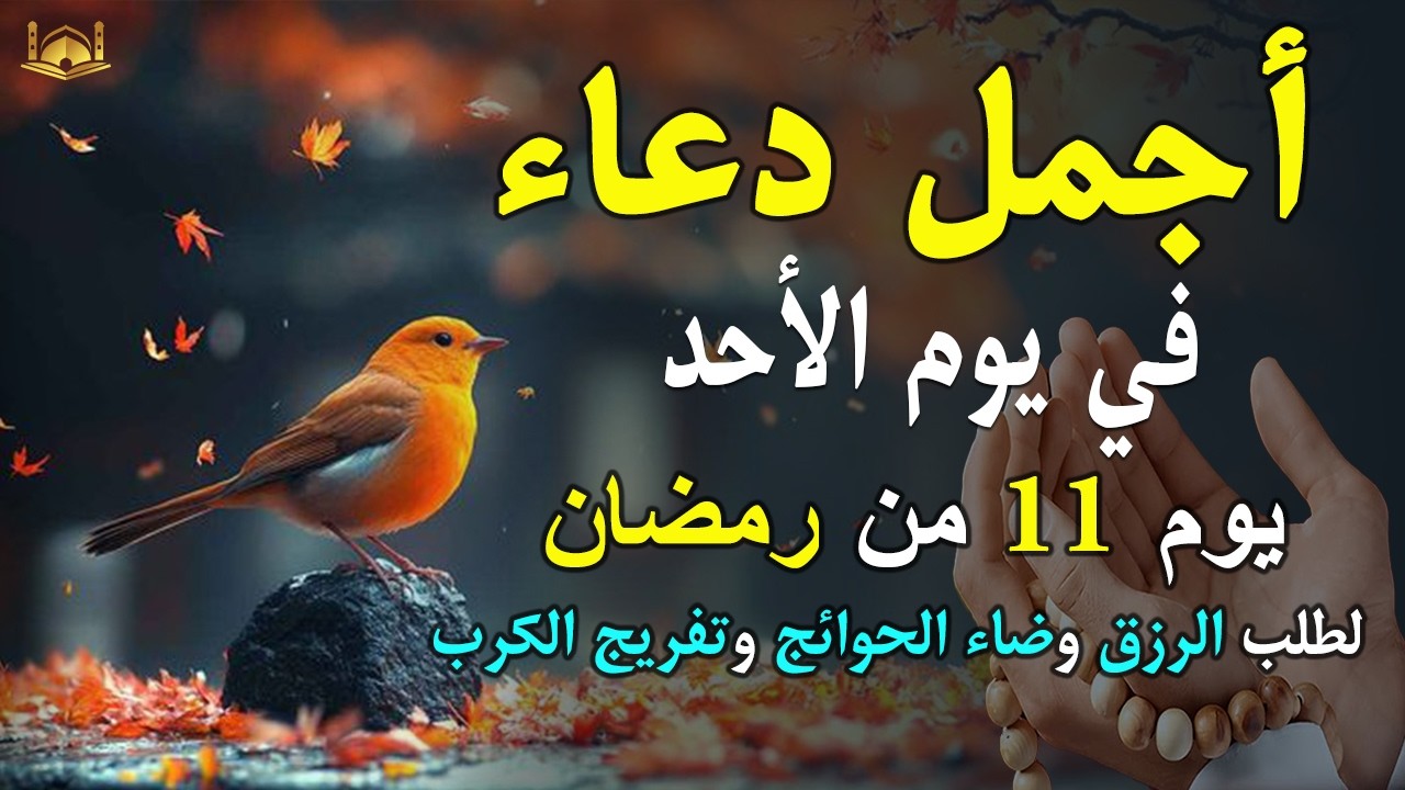 دعاء فى يوم الأثنين المستجاب دعاء يوم 12 من شهر رمضان للرزق والشفاء العاجل وقضاء الحوائج 🤲(4k)