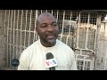 Tsadar Rayuwa: Mazauna Garin Dikwa Sun Yi Zanga-Zanga A Jihar Borno