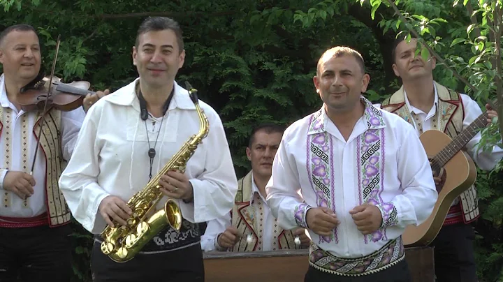 Petre Stoica si Florin Ionas - Generalul - Cand es...
