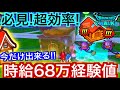 【DQW】経験値荒稼ぎ!爆速レベリング!一気に強くなろう!【ドラゴンクエストウォーク】【ドラクエウォーク】