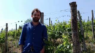 Cascina La Barbatella, Piemonte: Slow Wine 2024