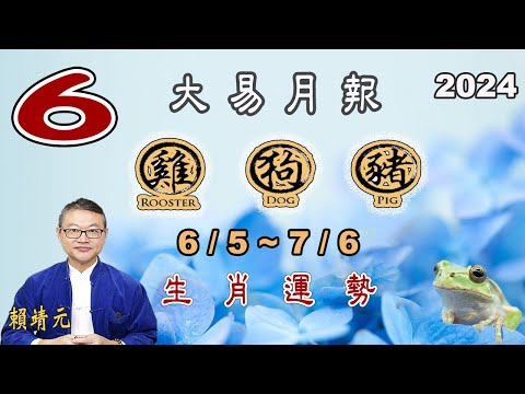 【大易月報 ~ 雞、狗、豬 】陽曆  6/5 ~7/6｜  甲辰年庚午月｜＃生肖運勢2024｜＃每月运势2024｜＃大易月報｜＃大易命理頻道｜＃賴靖元老師