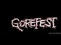 Capture de la vidéo Gorefest Live Volkel 24 06 1990