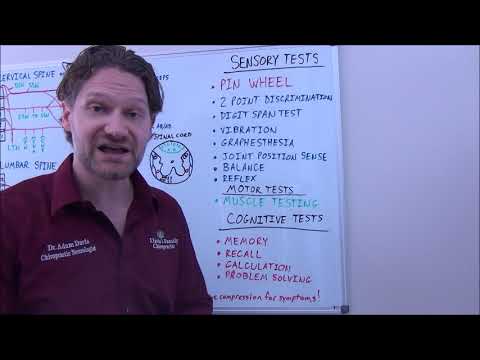 Sensory Testing