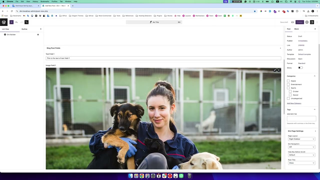 How to use custom fields with Divi's Dynamic Content to create a custom blog template