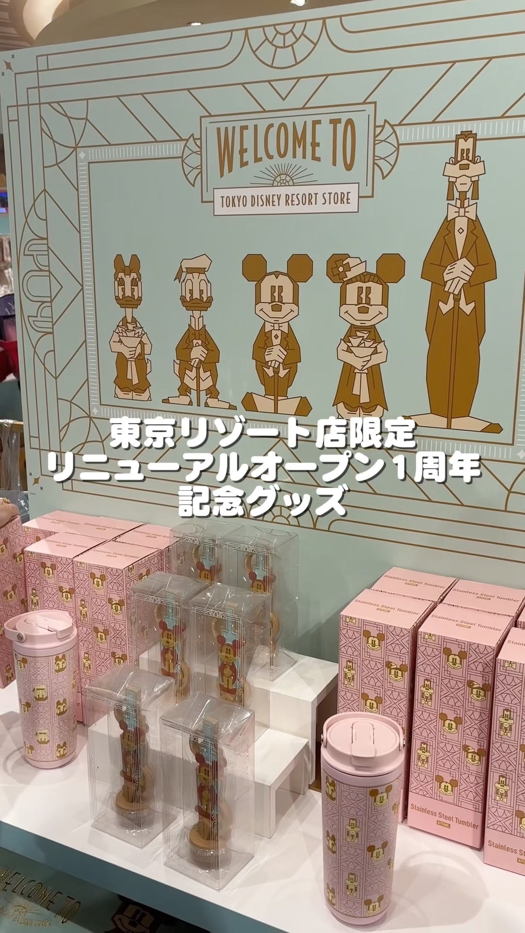 東京ディズニーリゾート グッズ Disney Store Tokyo Resort Location Exclusive Anniversary