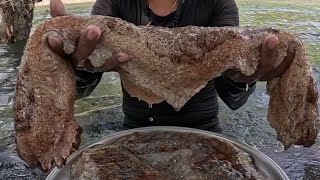 Download Lagu Giant Sea Cucumber Kinilaw! 😱 MP3 Download Lagu Giant Sea Cucumber Kinilaw! 😱 MP3