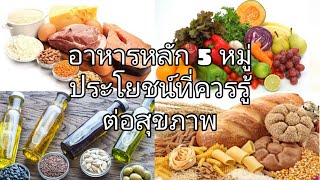 อาหารหลัก 5 หมู่ ประโยชน์ที่ควรรู้ต่อสุขภาพ อาหารหลัก 5 หมู่ ประโยชน์ที่ควรรู้ต่อสุขภาพ