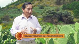 El Nopal 100% Mexicano | Lo mejor de Cocineros Mexicanos