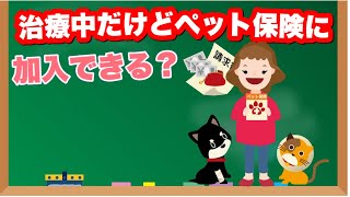 ペット保険に加入できる？愛犬・愛猫が病気で通院中のケース【獣医師解説】