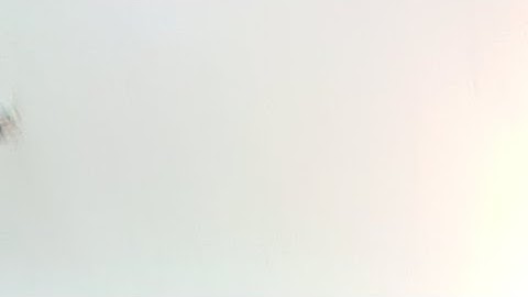 MPPSC MAINS 2019 RESULT OUT