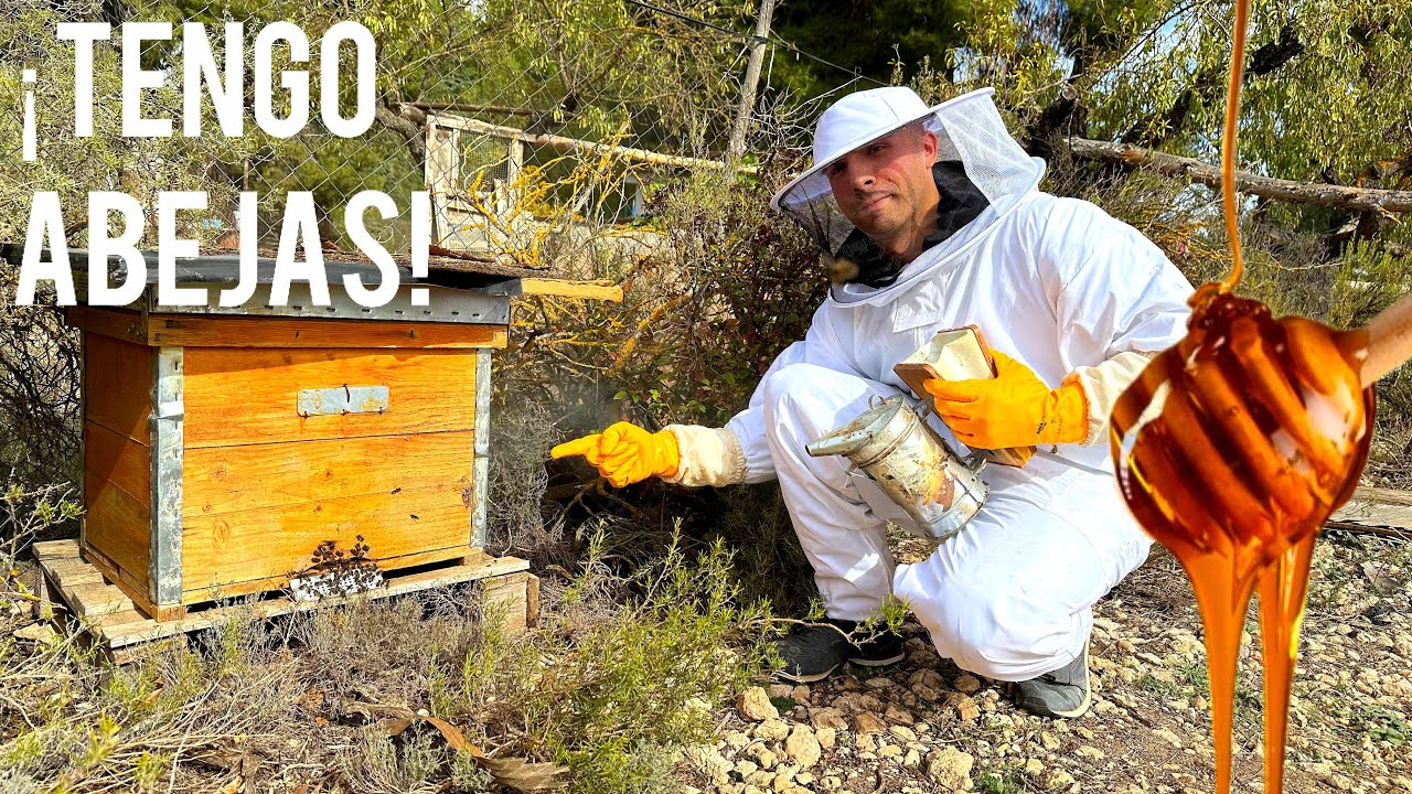 MI PRIMERA COLMENA 🐝 , TOMA DE CONTACTO CON LAS ABEJAS 🍯