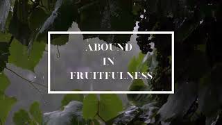 Find Deep Relaxation & Sleep with Soft Rain Sounds & NatureScapes-6 HRS! #softrainsounds #whitenoise screenshot 5