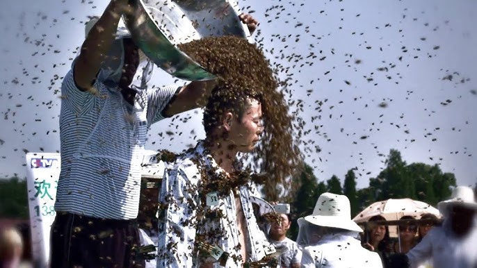 Қырынған кискалар Аяқтары түкті жетілген әйелдермен жыныстық қатынас