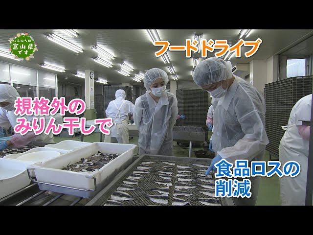 fugu@断捨離中!!プロフ必読‼︎ Hello, Toyama Prefecture [Food Waste Reduction] Broadcast on