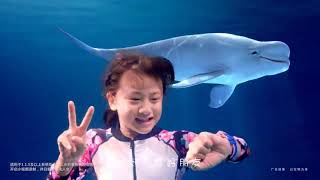 小天才兒童電話手表Z5 可以視訊通話的手錶