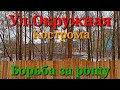 Борьба за рощу на ул.Окружная в г.Кострома