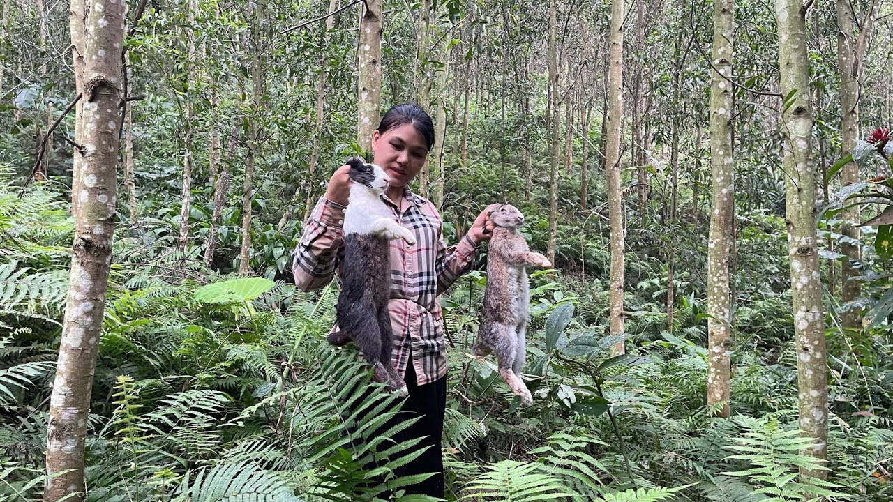 Приключения в дремучем лесу: ловля диких кроликов – испытание смелости Элли Триеу