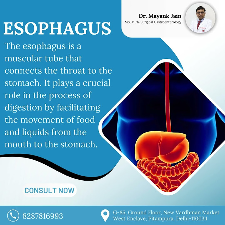 Unlocking Digestive Secrets: Your Guide to a Healthy Esophagus!#