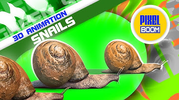 Green Screen Snail Animals - 3D Animations PixelBoom