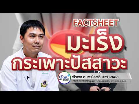 ชัวร์ก่อนแชร์ FACTSHEET : มะเร็งกระเพาะปัสสาวะ