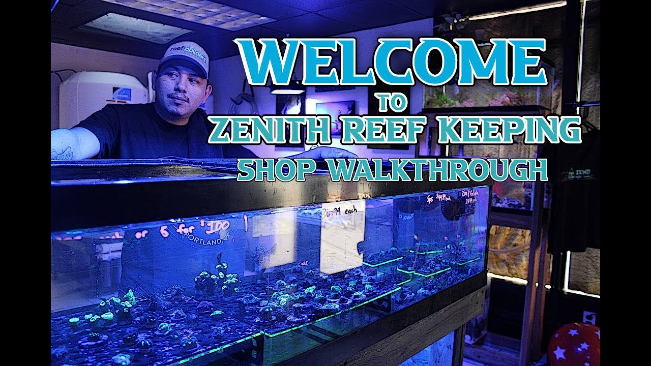 Reff Keeping Zenith Reef Keeping Store Walkthrough - YouTube