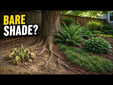 Dry Shade Under Trees? 8 Plants That Work When Hostas Struggle