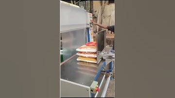 Web Sealer with Shrink Tunnel & Deaeration | Perfect Solution for Atta Packaging