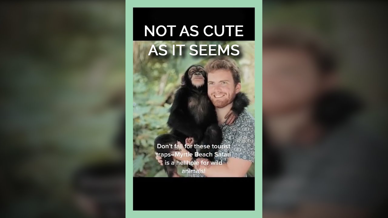 Not As Cute As It Seems 