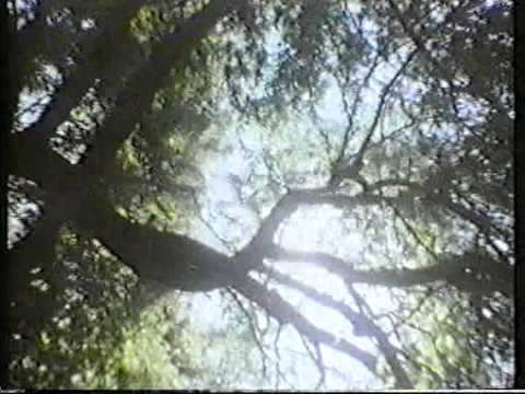 Autohaze — Autohaze - Way Out There
