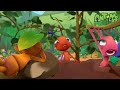Socorro não prestado 🥲 MARATONA DE ANTIKS BRASIL! 🐜 Desenhos Animados Infantis em Português