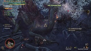 Monster Hunter Wilds No backflip for you Mizu!