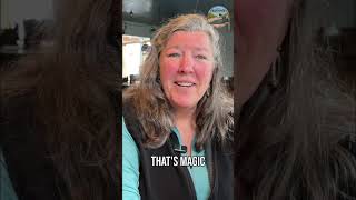Alaskas Wild Side: Bears Roam FREE Near Juneau! #shorts