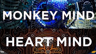 "Monkey Mind / Heart Mind" - yostopia & tas visuals - 4K