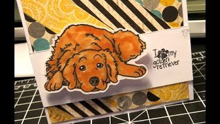I wanted to make a card that was little more easy work, just time
consuming featuring our brand new golden retriever stamps. am so happy
with ho...