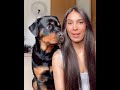 Copy your dog and see their reaction...cute Rottweiler