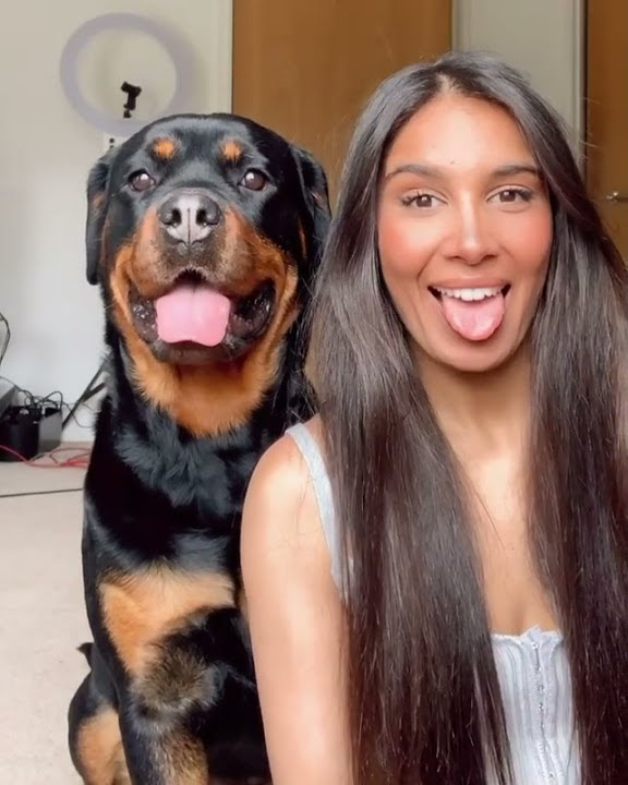 Copy your dog and see their reaction...cute Rottweiler