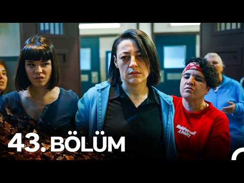 Avlu 43. Bölüm | Adelete Teslim Ol Müdür!