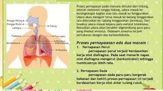 Bahan Ajar Tema 2 Subtema 1 Pembelajaran 1,2,3 Kelas 5
