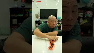 Funny video | Oh Stopppppp #shorts #funny